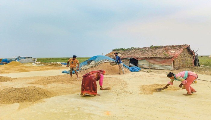 সুনামগঞ্জের ঋণের বোঝা নিয়ে ফিরছে ৫ শতাধিক জিরাতি পরিবার