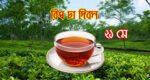 আজ বিশ্ব চা দিবস
