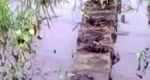 হবিগঞ্জে নিষিদ্ধ জালের দৌরাত্ম্যে ধ্বংস জীববৈচিত্র্য, মাছশূন্য জলাশয়
