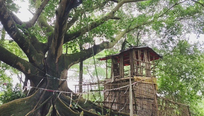 কবরস্থানে ‘পীরের’ আস্তানা, মাদক সেবনের অভিযোগে ক্ষোভ