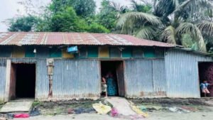 প্রবাসে স্বামী, স্ত্রীকে ঘিরে সন্তান প্রসবের দাবি; অভিযোগ অস্বীকার