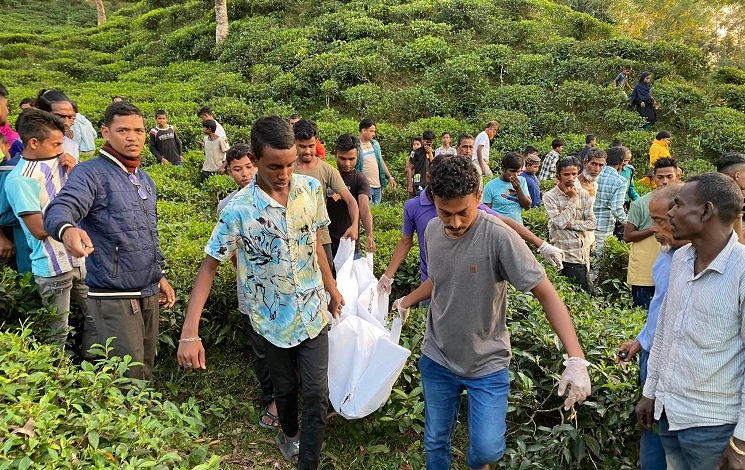 সিলেটে চা বাগান থেকে লাশ উদ্ধার