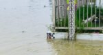উজানের বৃষ্টিতে বাড়ছে নদীর পানি, ছাতকে সুরমা বিপৎসীমার কাছাকাছি