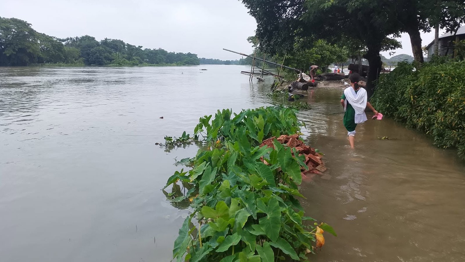 উন্নতির পথে সিলেট-সুনামগঞ্জের বন্যা পরিস্থিতি