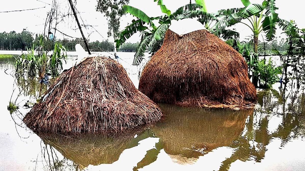 হবিগঞ্জে কৃষি ও মৎস্যখাতে ৭০ কোটি টাকার ক্ষতি