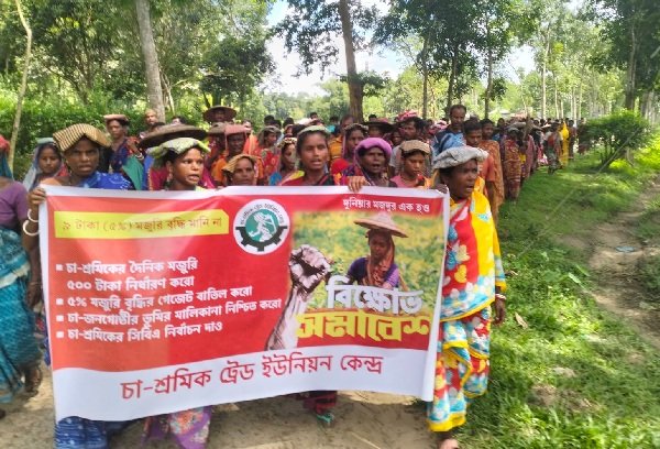৫ শতাংশ মজুরি বৃদ্ধির সিদ্ধান্ত প্রত্যাখ্যান, মজুরি ৫০০ টাকা করার দাবি চা-শ্রমিকদের