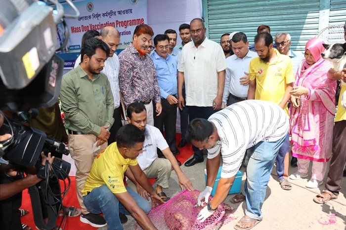 সিলেটে সাড়ে ৪ হাজার কুকুরকে ভ্যাকসিন দেবে সিসিক, কার্যক্রম শুরু